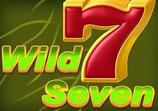Wild Seven game cover